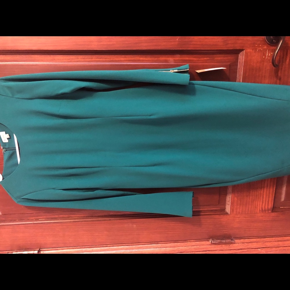 Cremieux long sleeve body con dress